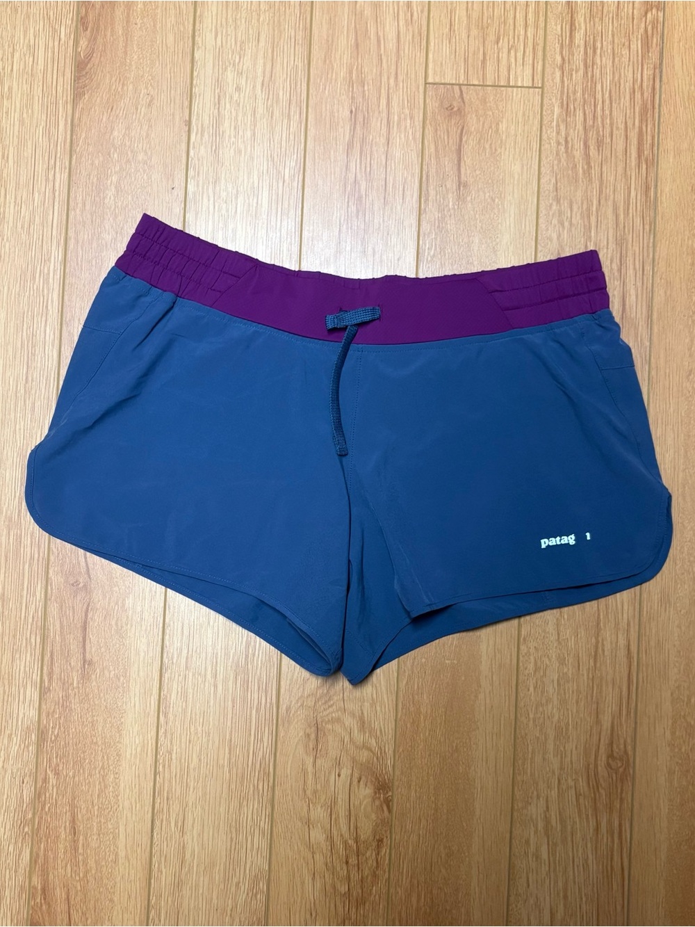 Patagonia Blue Shorts with Purple Waistband - Women's Athletic